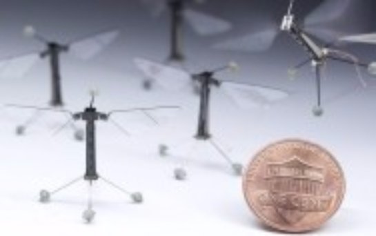 Американские специалисты показали мини-робота «летучую мышь»