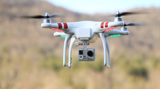 Полеты дронов будут улучшать за счет наблюдения за полетом птиц