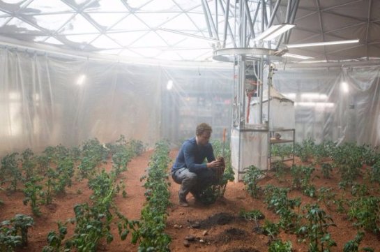 Американцы намерены вырастить картофель в условиях, приближенных к марсианским